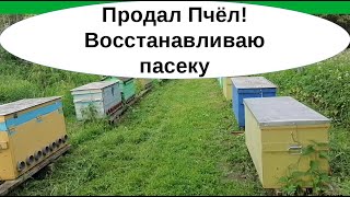 Что на пасеке после реализации всех пчелосемей, деления на пол-лёта, формирование нуклеусов