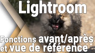 Lightroom : Les fonctions Avant / Après et Vue de référence