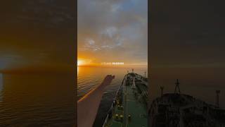 Merchant Navy short video |Merchant navy container ship🛥️|Navy life short video #shorts