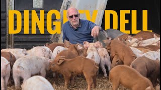 How This Suffolk Pig Farmer Makes Some of the World's Best Pork | Herd Field Trip