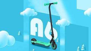 Segway Ninebot eKickscooter Zing A6