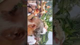 thaipusam whatsapp status tamil #shorts  #thaipusam #karthigaideepam