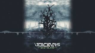 Voicians - The Only Friend