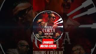 #Dharius - Mecha Corta Ft. #GeraMx #short #shorts #feed #fypシ゚viral #reels #viral #parati #music