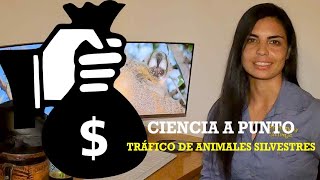 Ciencia A Punto: Tráfico de animales silvestres