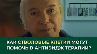 Как стволовые клетки могут помочь в антиэйдж терапии?