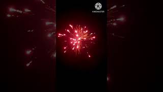 Nayagi fireworks raw power💥🔥Diwali 2023🎇🎆