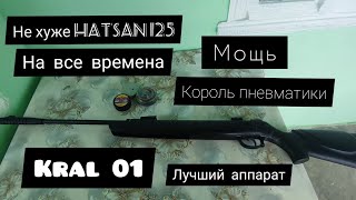 ЭТА ВОЗДУШКА ТОП ДЛЯ ОХОТЫ Обзор пневматической винтовки Kral Arms 01 Надёжный аппарат