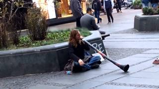 Didgeridoo instrument the world's oldest wind instrument streets of Belgrade