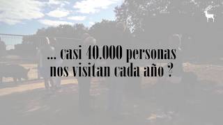 ¿Sabías que... casi 40.000 personas nos visitan cada año?