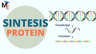 Sintesis Protein | Transkripsi & Translasi - Biologi