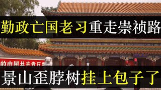 勤政亡国老习重走崇祯路，景山歪脖树挂包子了。统计局提前宣布中国肯定能完成今年的经济增速目标5%，网友群嘲反正造假，多打个零。崇祯一书被全国下架，原因竟是因为道尽俩人的异同（单口相声嘚啵嘚之老习和崇祯）