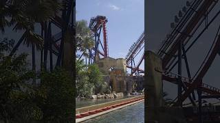 SheiKra Splash Down Busch Gardens Tampa #shorts