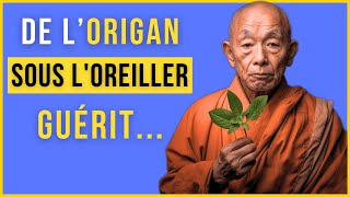 12 Effets Surprenants sur le CERVEAU en Mettant de l’ORIGAN SOUS L'OREILLER - Histoire Zen de Santé