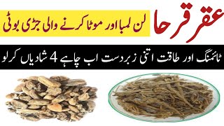 akarkara and musli remedy for your health