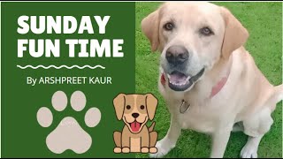 Sunday Fun|Home|Arshpreet Kaur|Bonzo|FunVideo 🐶