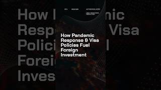 How Pandemic Response & Visa Policies Fuel Foreign Investment. #shorts #realestate #dubai