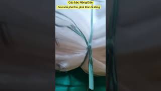 Các bác Nông Dân có muốn Phơi Thóc dễ dàng, tiết kiệm chi phí , fishing net #shorts