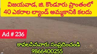 40 Acres Land For Sale in Vijayawada, G. Konduru | జి.కొండూరు | Amaravathi | 9866400255