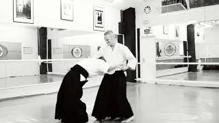 Aikido técnicas básica - Uke nagashi sayu nage (variaciones)