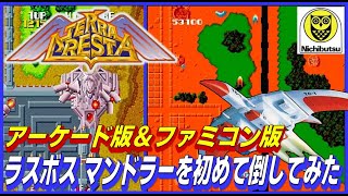 名作 シューティング テラクレスタ アーケード 版と ファミコン 版で ラスボス マンドラー を倒してみた【AC】【FC】