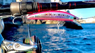 PESCA con MINNOW || JERKBAIT || MEDIA AGUA en MAR ABIERTO.