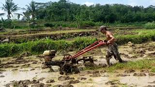 Mini Tractor, Traktor Capung Singkal Awal Lahan Banyak Air