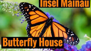 Insel Mainau Butterfly House|Bodensee|Lake Constance