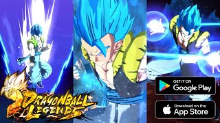 LL Super Saiyan God SS Gogeta Vs Brolly | Dragon Ball Legend