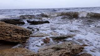 Чёрное море. Одесса// Black sea. Odessa.