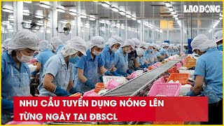 Nhu cầu tuyển dụng nóng lên từng ngày tại ĐBSCL| Báo Lao Động