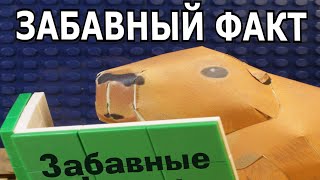 ЗАБАВНЫЙ ФАКТ (Лего Анимация)