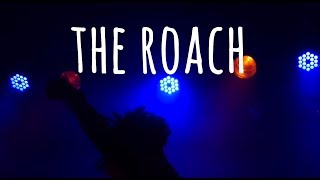 THE ROACH //