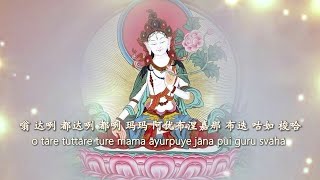 白度母心咒 Mantra of white Tara 圣救度佛母 360th