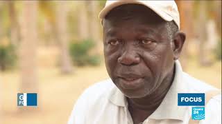 Agriculture, Gora Ndiaye a réussi un immense exploit: faire pousser un potager en plein desert.