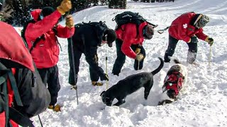 Chiens et secouristes unis : Les secouristes de l'extrême