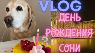 Vlog ДЕНЬ РОЖДЕНИЯ СОНИ ВЛОГ