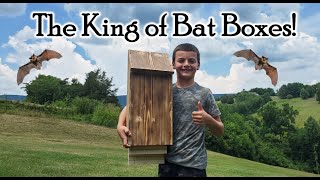 DIY Kids Project - Lets make a Bat Box!