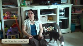 Nursery Organizing Part 4- Living Peace Tuesday Tips