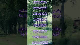 Beautiful Urdu Nazm “aa ja” #urdupoetry