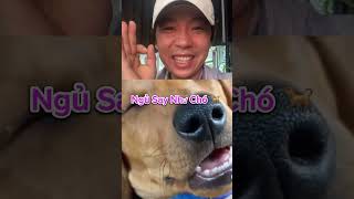 HN Official | Khoảnh Khắc Tuyệt Vời Ep7 #shorts