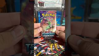 Temporal Forces Pack Opening (11/7/24) #pokemon