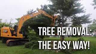 Tree Removal Using The CAT 317!