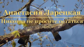 Анастасия Ларецкая - Никогда не просите остаться