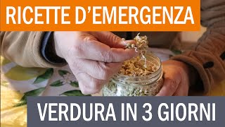 Come autoprodurre i germogli: ricette per l'emergenza (ma non solo!)