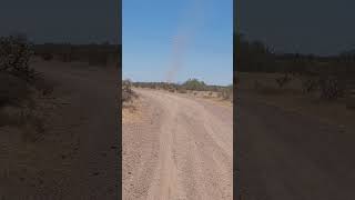 Wittman, AZ #DustDevil #Arizona #DirtRoad #MyDesert