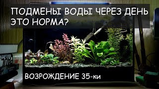 Возрождение аквариума 35 л.  Частые подмены. Как повели себя новые растения.