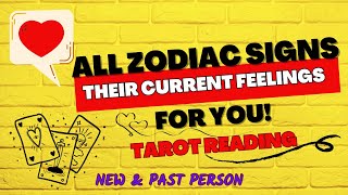 ALL ZODIAC SIGNS "THEIR CURRENT FEELINGS FOR YOU" TAROT READING