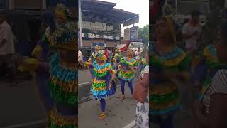 Watch the Most Incredible Peacock Dance Ever!