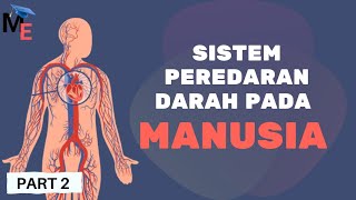 Sistem Peredaran Darah Part 2 | Alat Peredaran Darah - Biologi